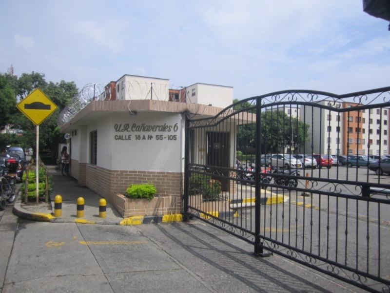 Cañaverales